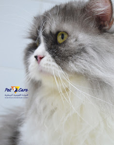 European Veterinary Clinic thumb 5